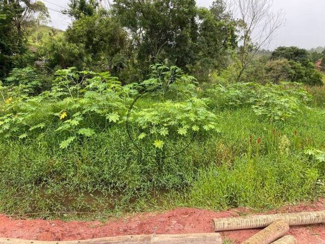 #1505 - Área para Venda em Piracaia - SP - 3