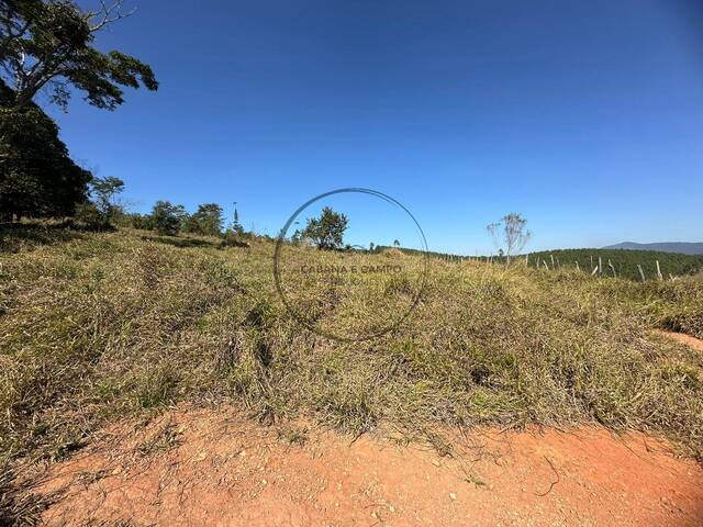 #1538 - Sítio para Venda em Bom Jesus dos Perdões - SP - 2