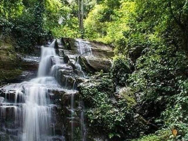 #1623 - Fazenda para Venda em Francisco Morato - SP - 2