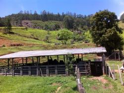 Fazenda para Venda em Piracaia - 4