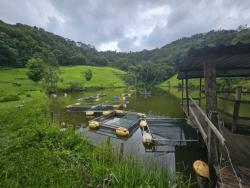 Venda em Igarata - Igaratá