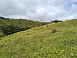 #1217 - Sítio para Venda em Piracaia - SP - 3