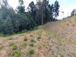 #1226 - Terreno em condomínio para Venda em Atibaia - SP