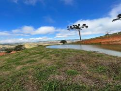 #1238 - Terreno para Venda em Divinolândia - SP - 2