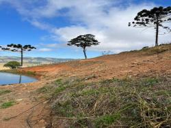 Terreno para Venda em Divinolândia - 5