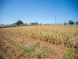 Terreno para Venda em Atibaia - 4