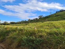 #1269 - Terreno em condomínio para Venda em Piracaia - SP - 3