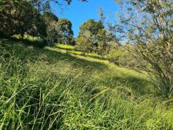 Terreno com acesso a represa para Venda em Piracaia - 5