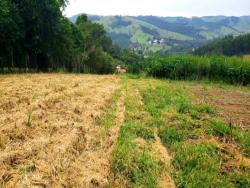 #1293 - Terreno para Venda em Piracaia - SP - 1