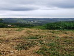 #1293 - Terreno para Venda em Piracaia - SP - 3