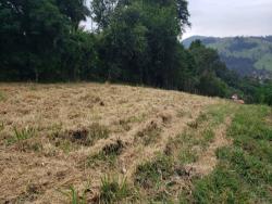 #1293 - Terreno para Venda em Piracaia - SP - 2