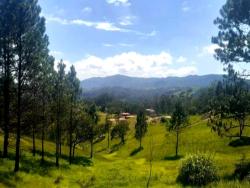 #1295 - Terreno em condomínio para Venda em Atibaia - SP - 1