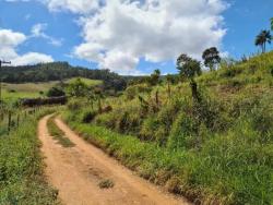 #1317 - Sítio para Venda em Piracaia - SP - 3