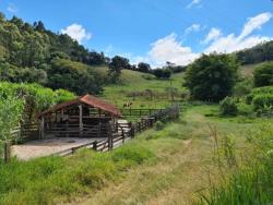 Sítio para Venda em Piracaia - 4