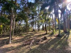 #1318 - Terreno em condomínio para Venda em Atibaia - SP - 1