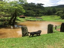 Sítio para Venda em Piracaia - 5