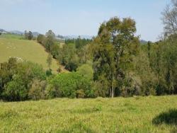 #1390 - Fazenda para Venda em Piracaia - SP - 3