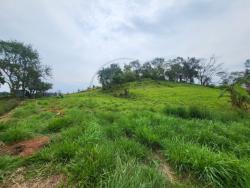 Venda em Dandão - Piracaia