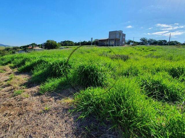 #1432 - Terreno em condomínio para Venda em Joanópolis - SP - 1